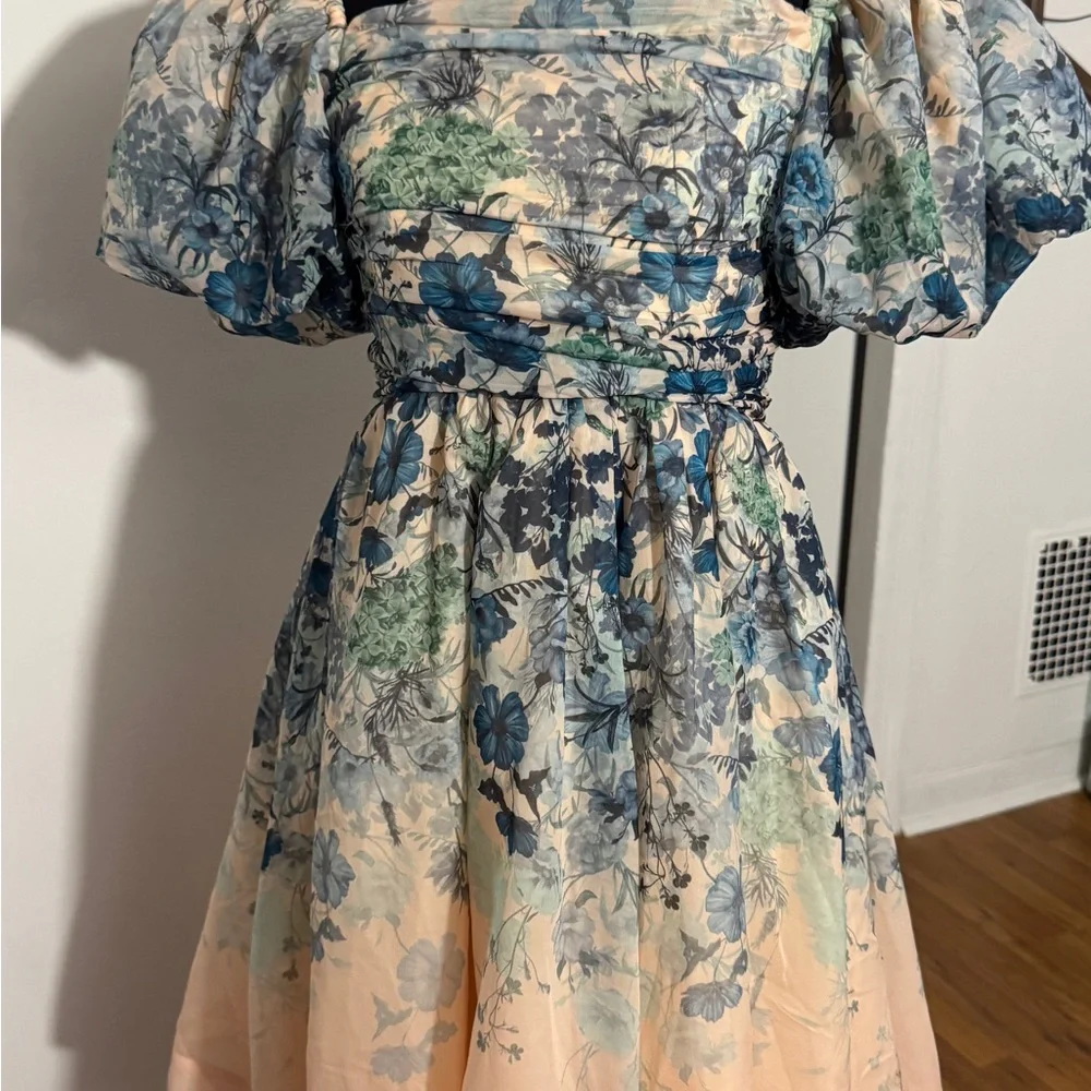 Flo Ruched Mini Dress Gently used 
Let Me Be by Anthropologie - Picture 9 of 9